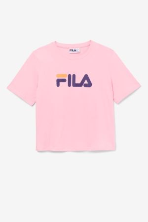 FILA Miss Eagle Tee T-Shirts Pink / Purple / Orange,Womens Clothing | CA.GFRXBD916